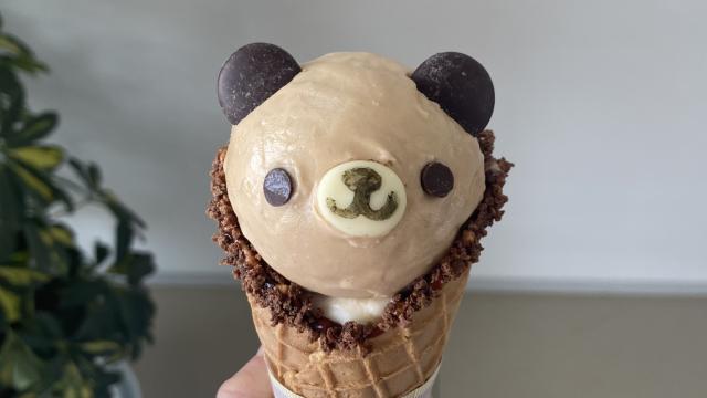 ジェラート新店「秘密をもったセレブクマちゃん」 ジェラートとソフト