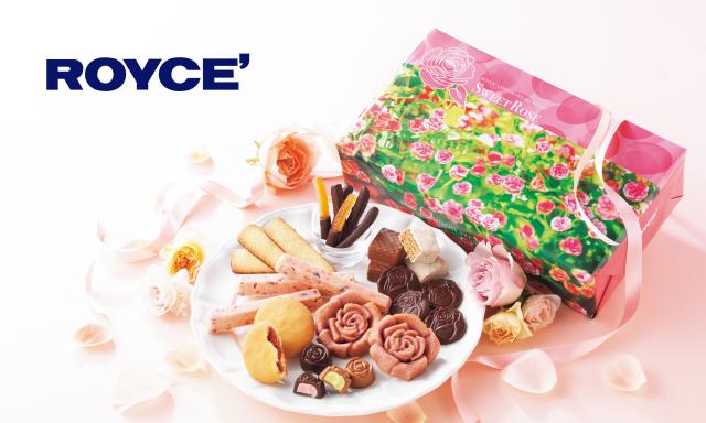 希少品 英国製【Rosalie】ロザリー モーニングセット 年々早まる