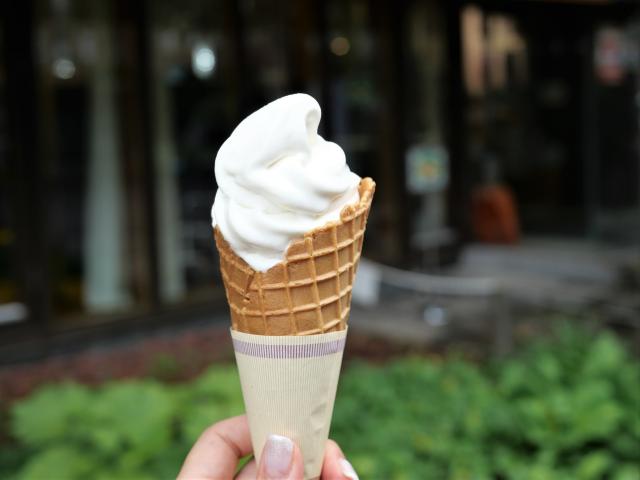 札幌 カフェdeごはん 北大牛乳のソフトクリーム
