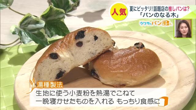 パンのなる木