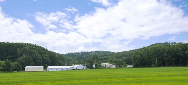 養鶏場