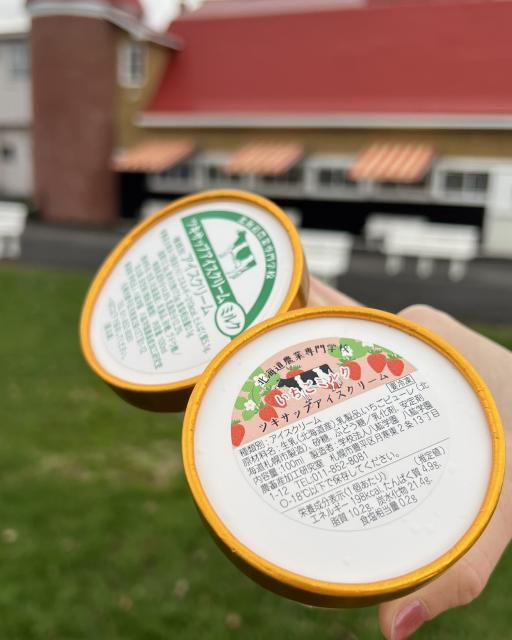 八紘学園農産物直売所 カップアイス