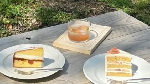 旭川近郊おしゃれカフェ3選！モーニング600円や美瑛の新カフェ＆鷹栖のケーキ店【まるさん直伝】