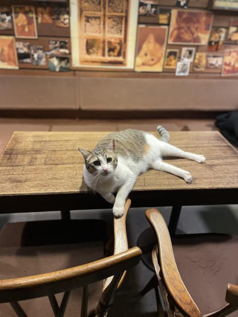 コーヒーハウス ミルク