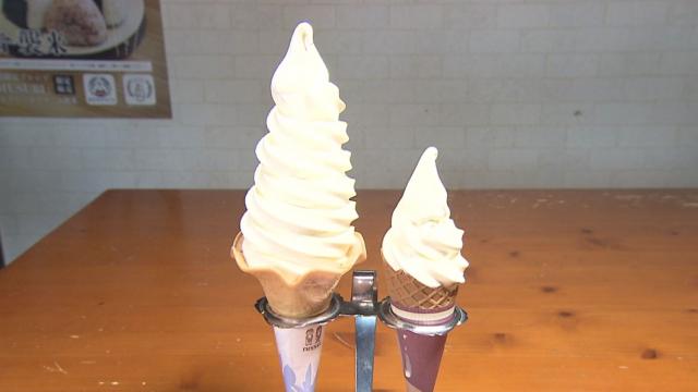 【早い者勝ち！最終値引き】スジャータソフトクリームランプ 上田市周辺】シャインマスカットのソフトクリームも！地元民にも価値大