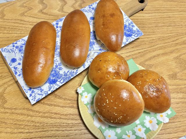 ドッグパン　バンズ