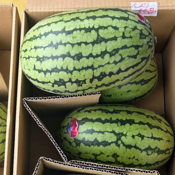 みずみずしい旬のフルーツが並んでいます