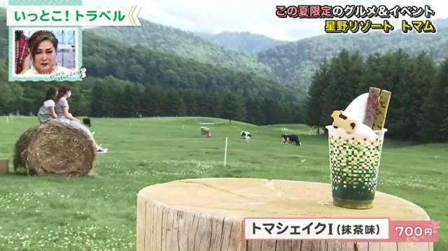 Sasaru 遊んで食べて大自然とたわむれる 星野リゾートトマム で夏を楽しむ旅