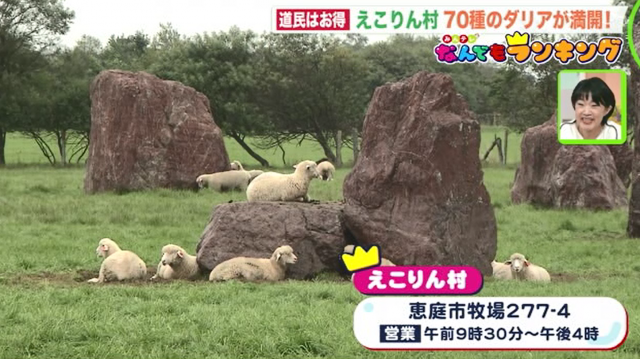 Sasaru ザッツ北海道 景色と癒しの えこりん村