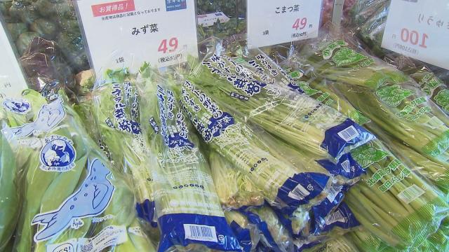 大根1本29円!? 札幌イチ安い青果店「深澤青果」”激安野菜”…ぶなしめじ