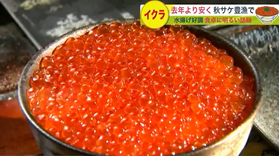 北海道産の生筋子100g700円台…高い？安い？秋サケ豊漁で去年より“お得