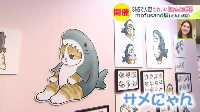 mofusand展　札幌　サメにゃん