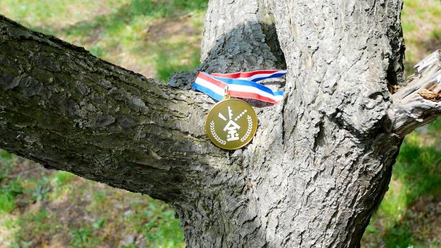 平岡公園の木にかけられた金メダル