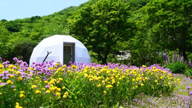 夏休みの“お金の使い方”先に知ると「お得」バーゲンで買うか体験するかプロの解説
