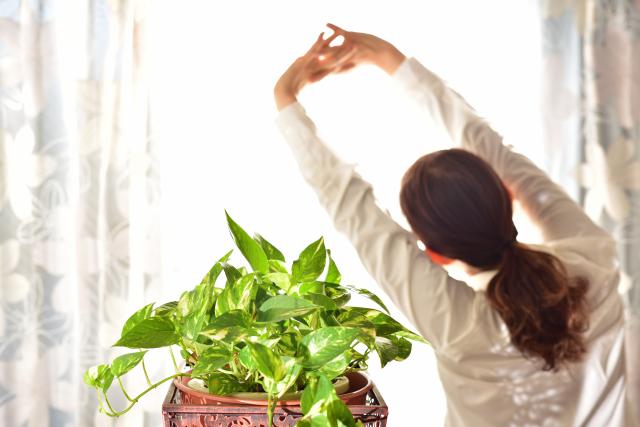 柔軟な働き方　2026年最新