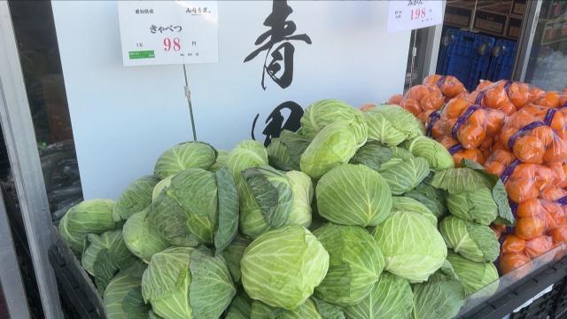 激安青果店』平均の半額以下！ハクサイ1玉213円！キャベツ105円！安さ