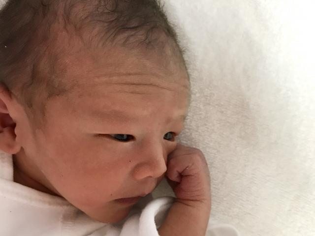 2026年　子育て　お金