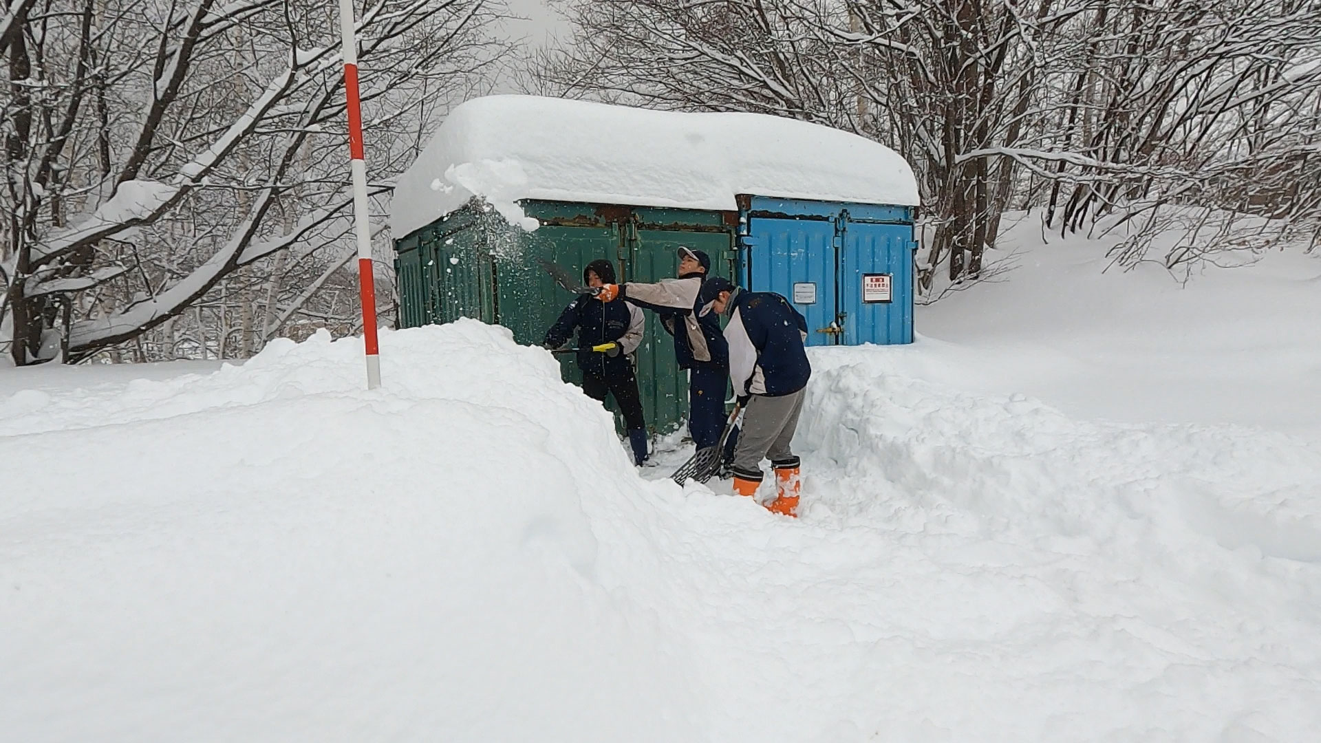 除雪をする北星学園大学附属高校 野球部