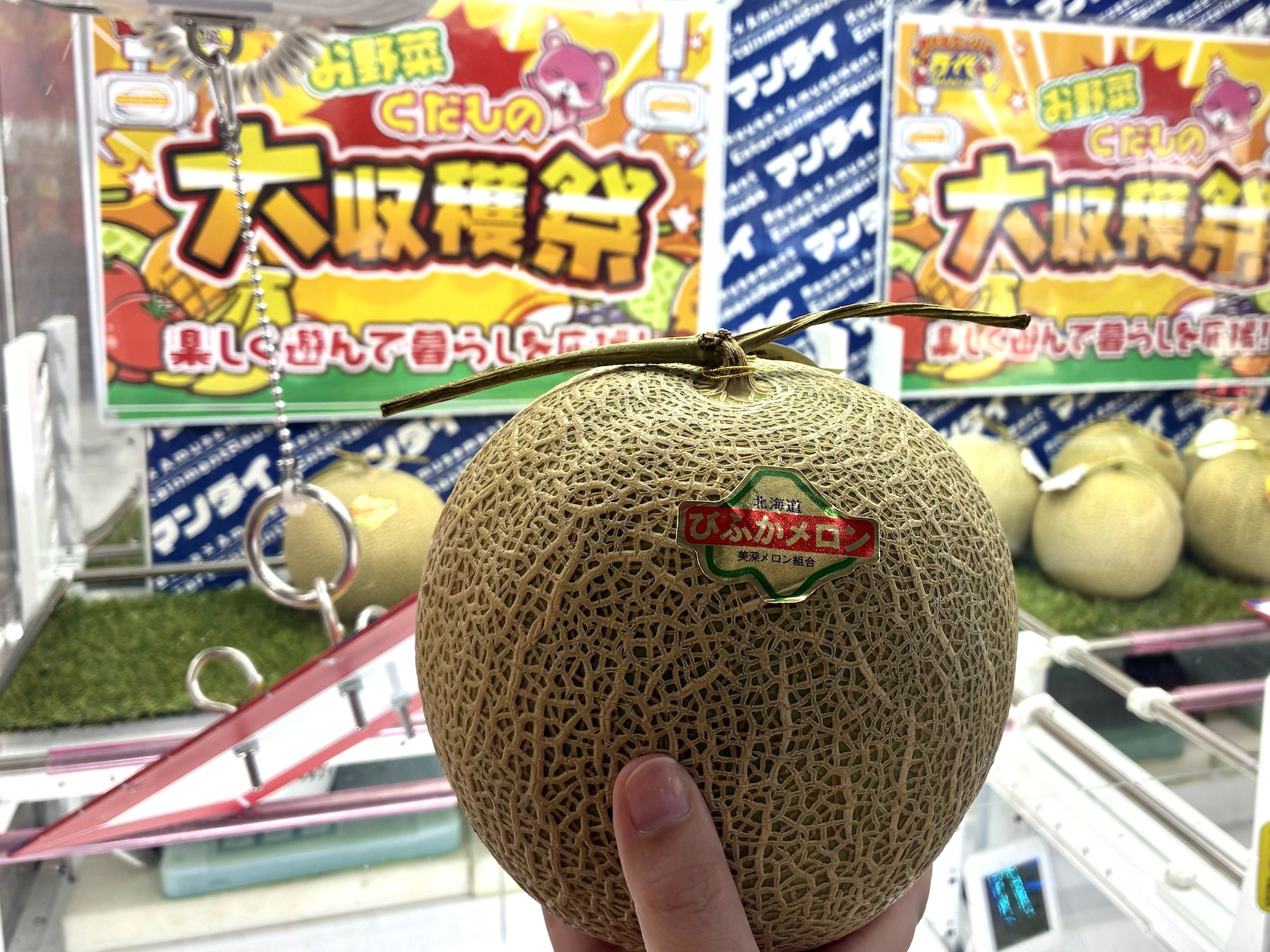 美深メロン