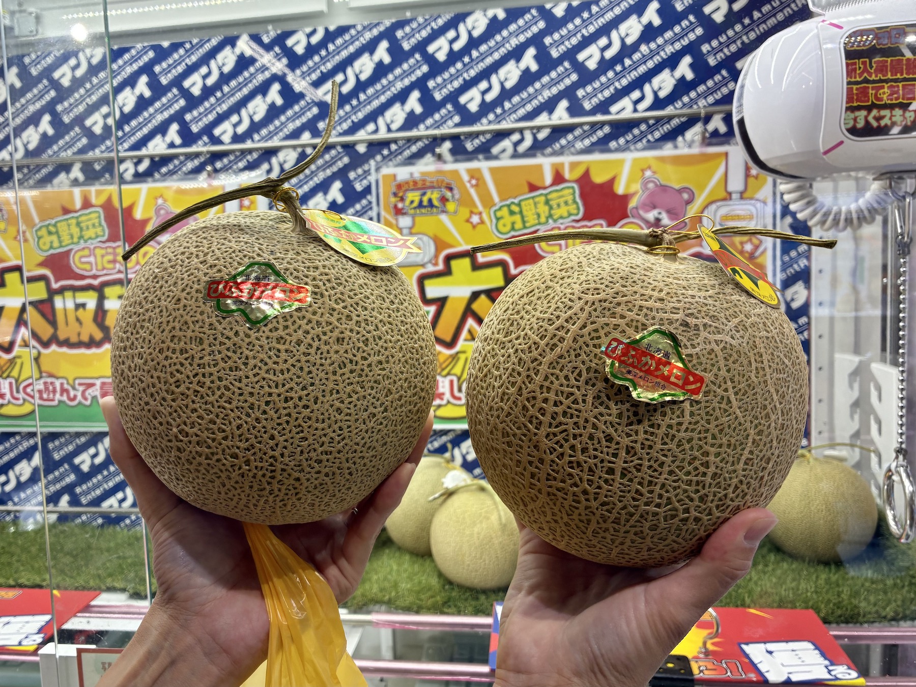 美深メロン2個