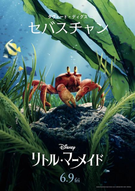 ディズニー　映画　リトルマーメイド　セバスチャン