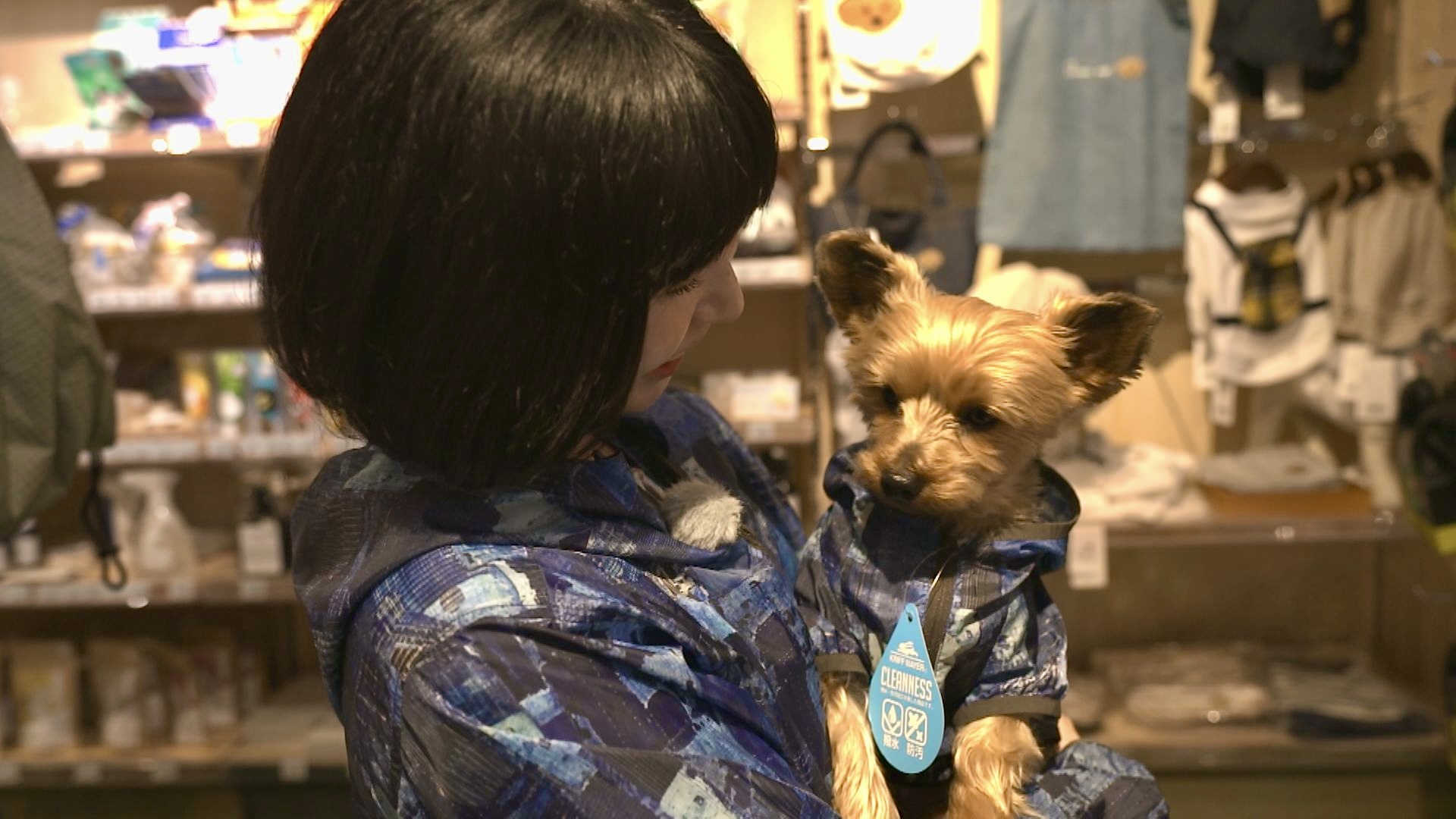 北海道最大規模の品揃え“トリミング”に“犬の幼稚園”まで…ワンちゃん連れにとても優しい「AZemラソラ札幌店」へ