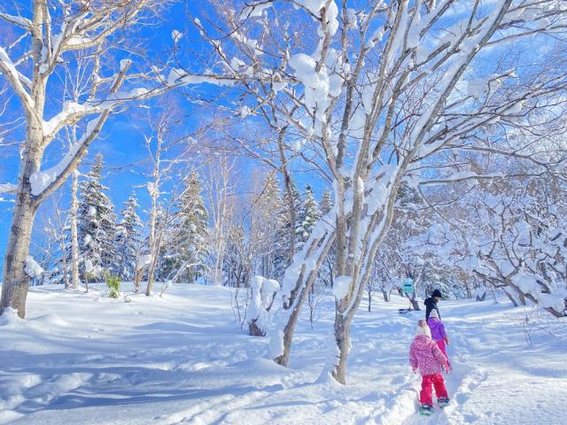 Sasaru 札幌 雪遊びスポット3選 子ども大喜び 低予算で チューブそりやスノーシュー 体験