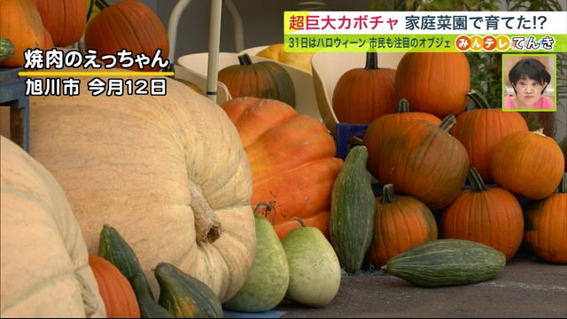 SASARU  家庭菜園で300キロ超！かぼちゃが豊作