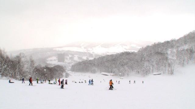 独創的 ルスツリゾート リフト券 残27時間 millenniumkosovo.org