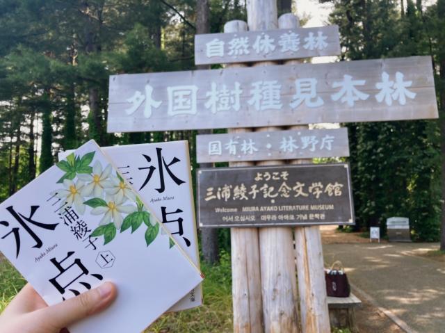 旭川　文学　小説　氷点