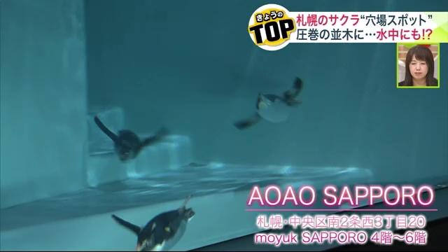 AOAO SAPPORO