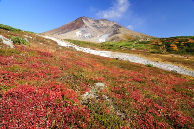 大雪山 旭岳　紅葉