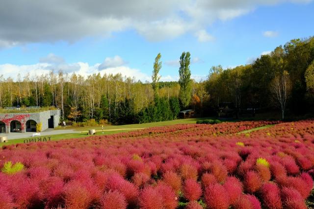 滝野すずらん丘陵公園