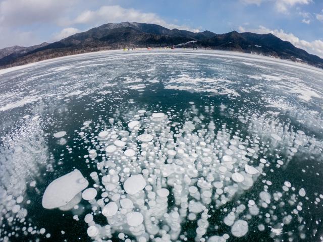 フロストフラワー　北海道