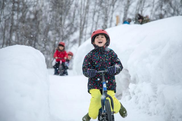 2歳〜5歳　限定