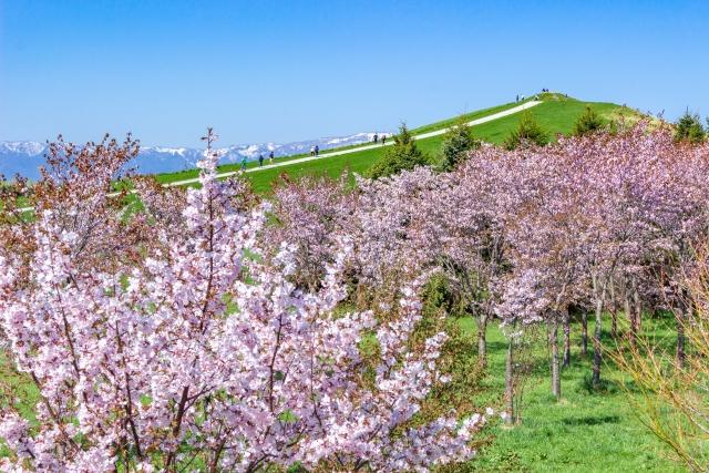 モエレ沼公園