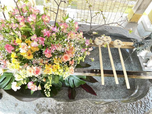 彌彦神社 花手水