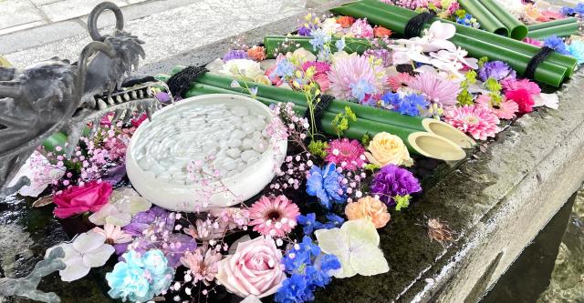 "花手水が楽しい"神社まとめ…神社巡りファンもデビュー民もチェック！ゴールデンウィーク「花詣」