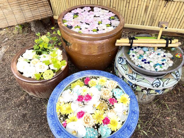多賀神社 花手水