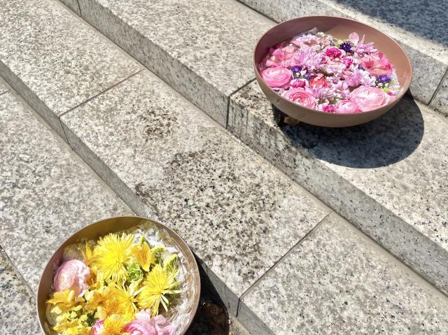 彌彦神社 階段 花