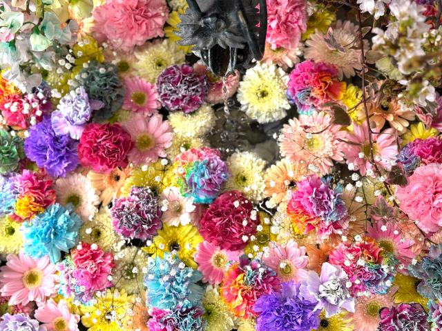 札幌諏訪神社 花手水