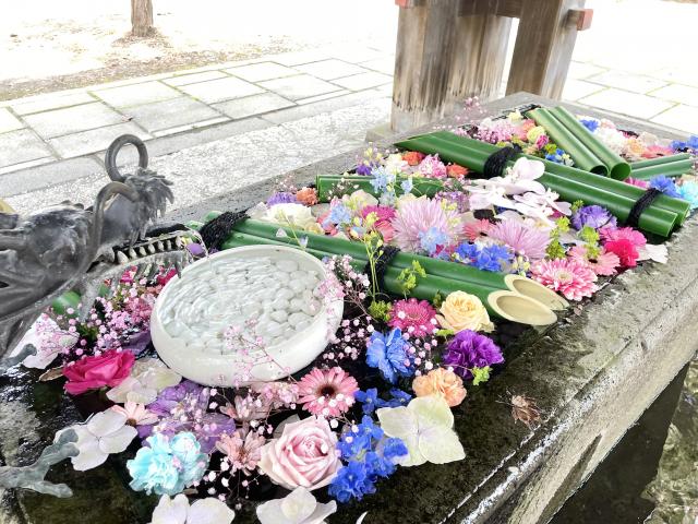 札幌護国神社 花手水