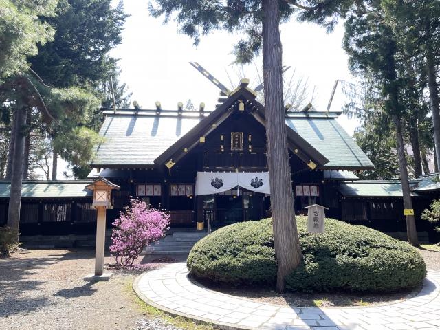 琴似神社 社殿