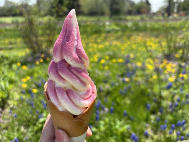 ソフトクリームフレーバー付き 税込 500円