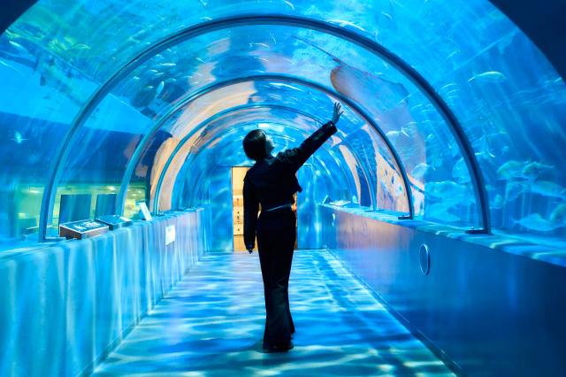 見るだけで涼しい！登別マリンパークニクスで夏の“スプラッシュ体験