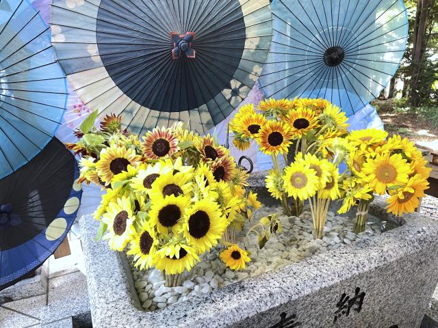 札幌諏訪神社　花手水