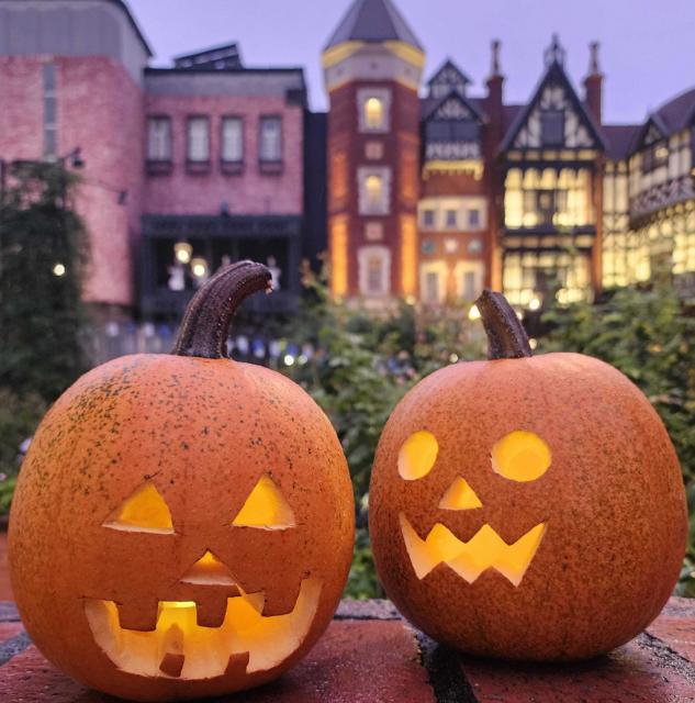 白い恋人パークにゃハロウィン