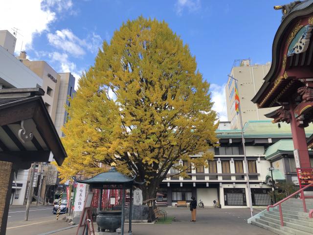 札幌に居ながら「お遍路体験」ができるスポット！樹齢150年超えのイチョウの大木も【秋のお寺参り】