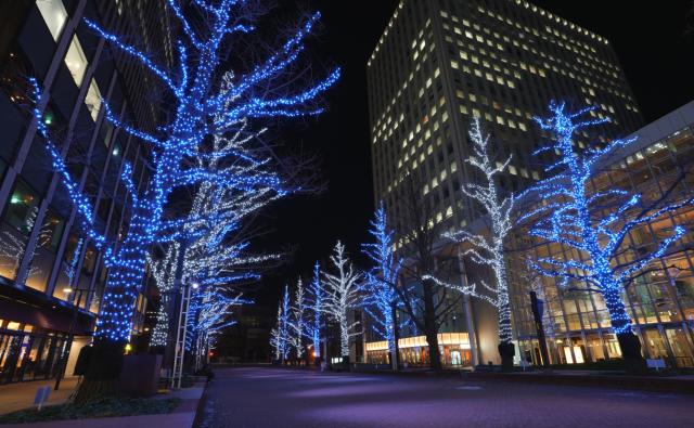 さっぽろホワイトイルミネーション札幌市北3条広場