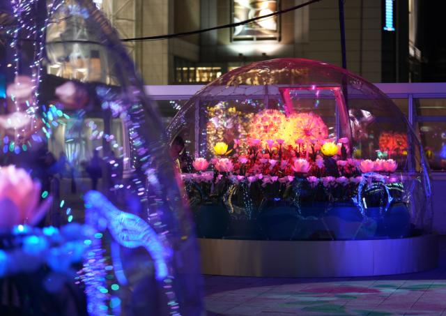 さっぽろホワイトイルミネーション札幌駅南口駅前広場会場